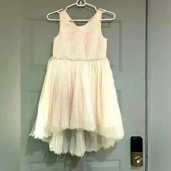 GIRLS PINK LACE DRESS PRINCESS DRESS SIZE 10 like new - Picture 1 of 10